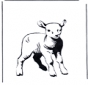 Agnello 2