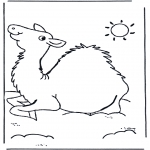 Disegni da colorare  Animali - Cammello
