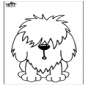 Cani 11