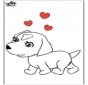 Cani 7