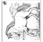 Cavallo 8