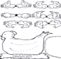 Gallina pasquale 2