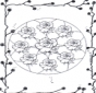 Mandala rose