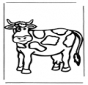 Mucca 1