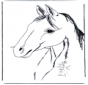 Testa di cavallo 3