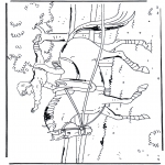 Disegni da colorare Animali - Agilità a cavallo