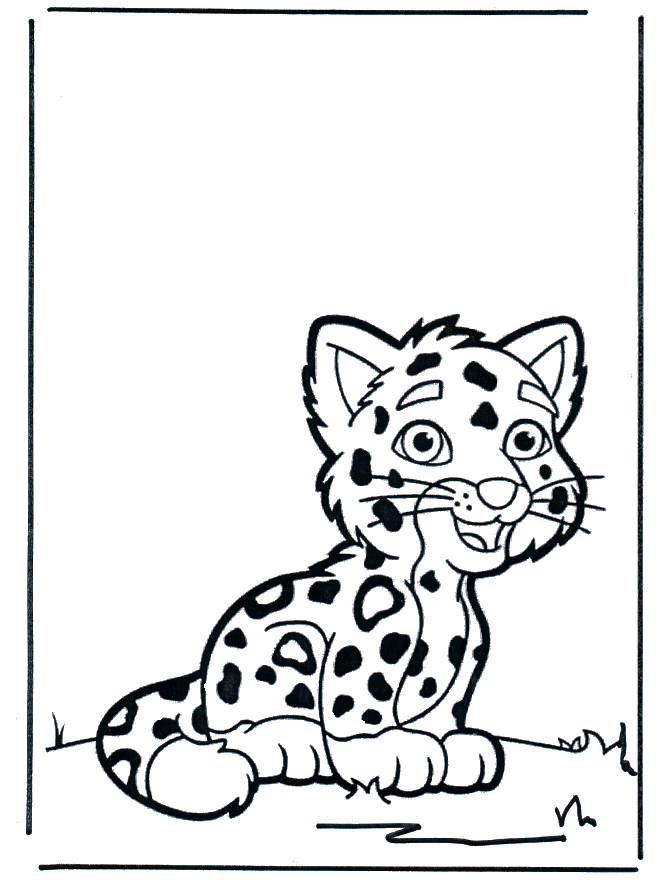 Bebè tigre - Felini