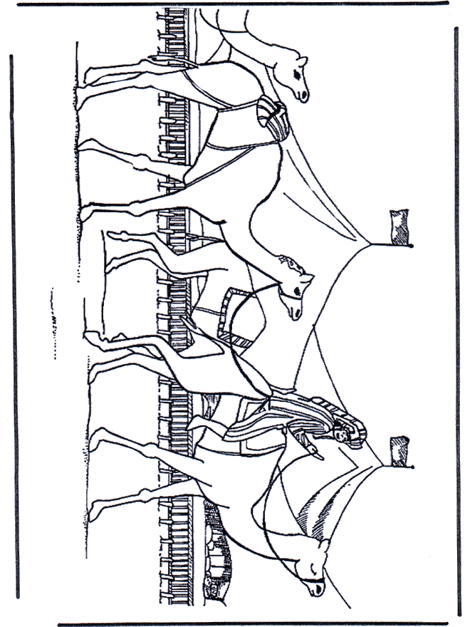 Carovana - Egitto