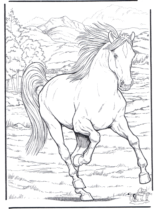 Cavallo 4 - Cavalli