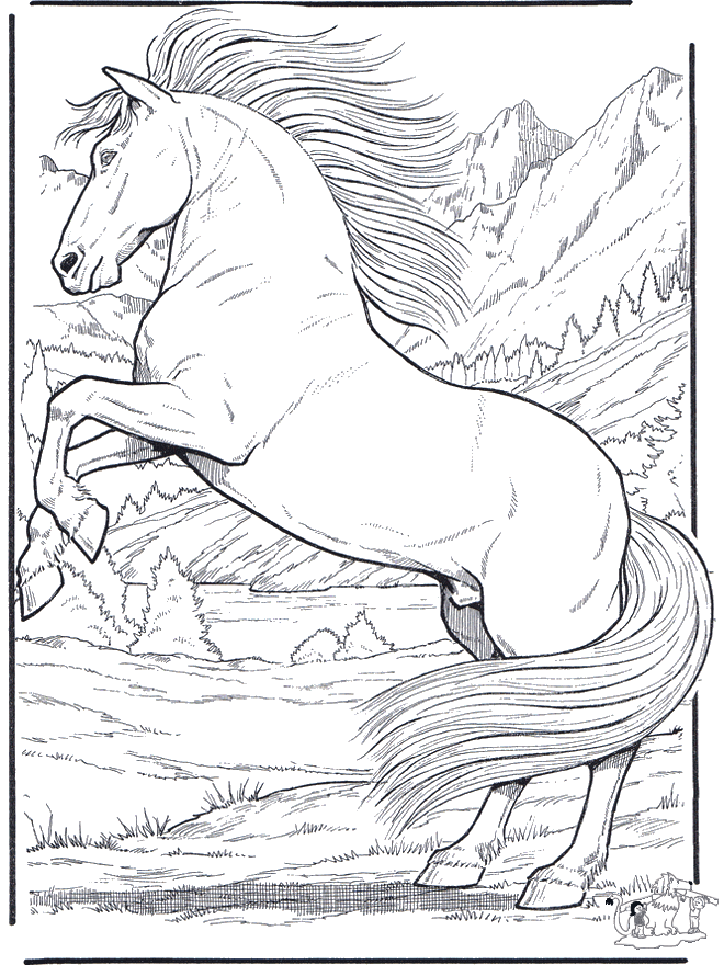 Cavallo 5 - Cavalli