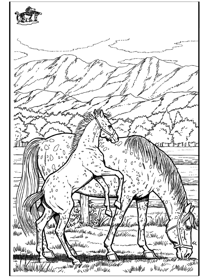 Cavallo 6 - Cavalli