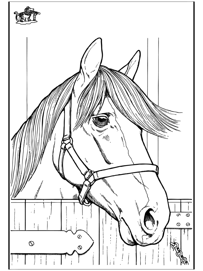Cavallo 7 - Cavalli