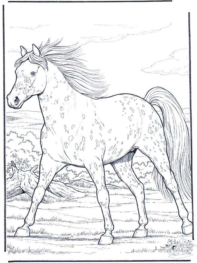 Cavallo al galoppo - Cavalli