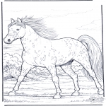 Disegni da colorare Animali - Cavallo al galoppo