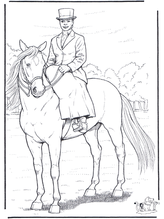 cavallo con signora  cavalli