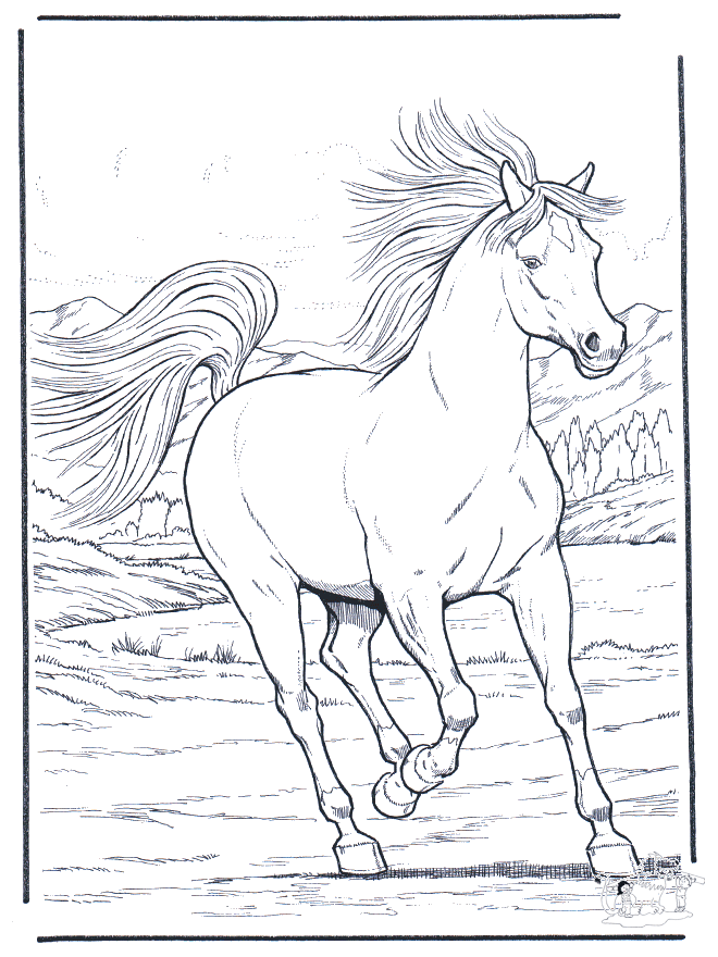 Cavallo galoppante - Cavalli