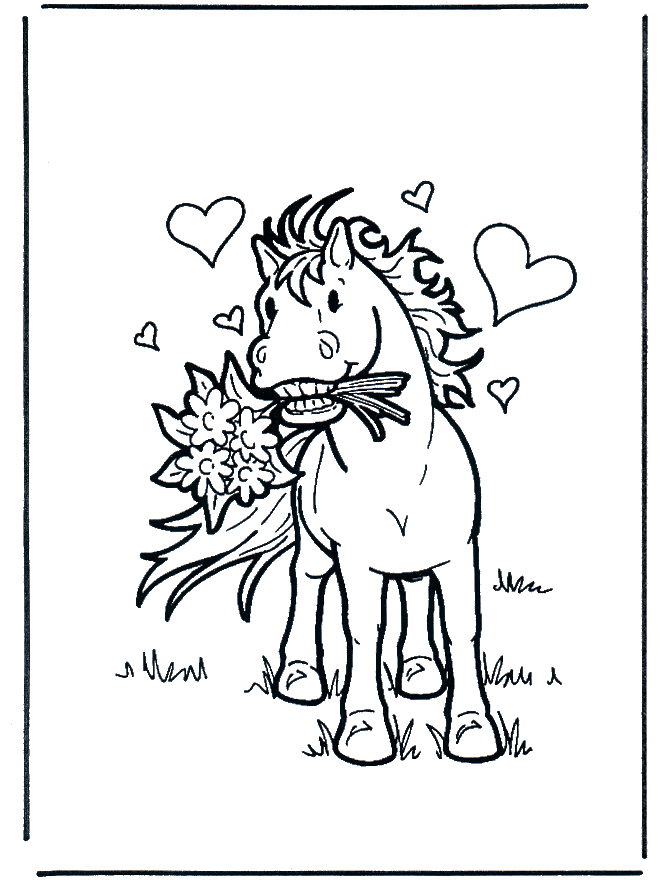 Cavallo innamorato - Cavalli