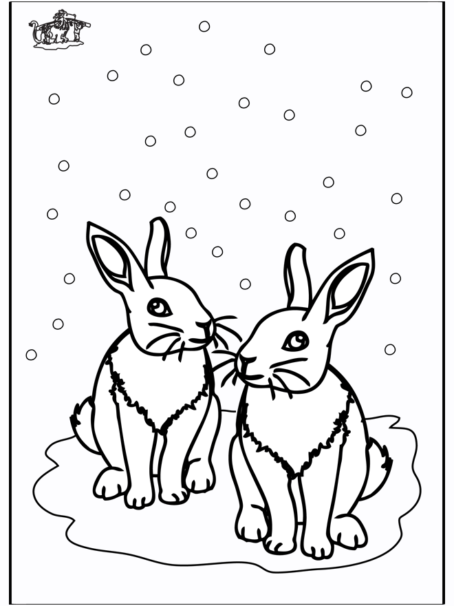 Conigli - Animali dellinverno