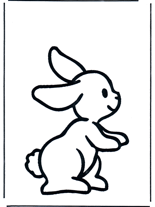 Coniglietto 1 - Animali