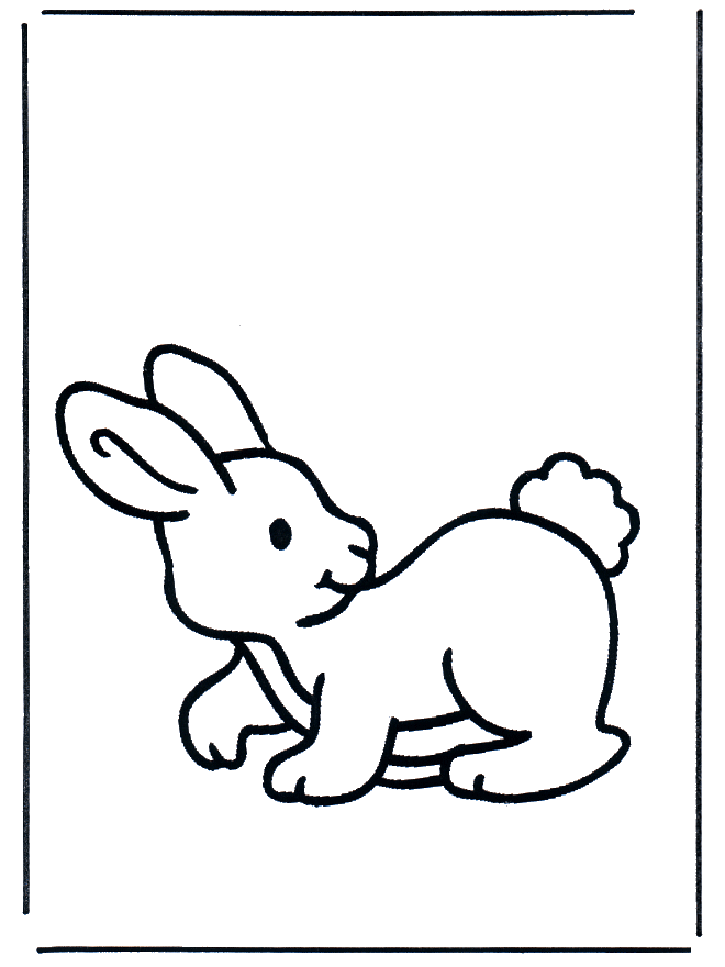 Coniglietto 2 - Animali