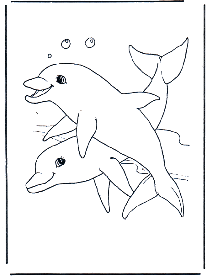 Delfini 1 - Animali acquatici