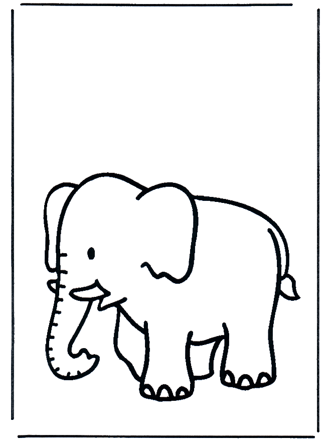 Elefante 3 - Zoo