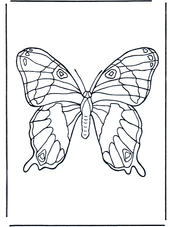 Farfalla 1 - Insetti
