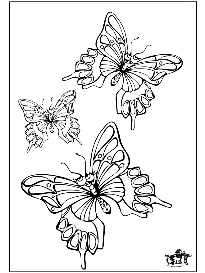 Farfalla 5 - Insetti