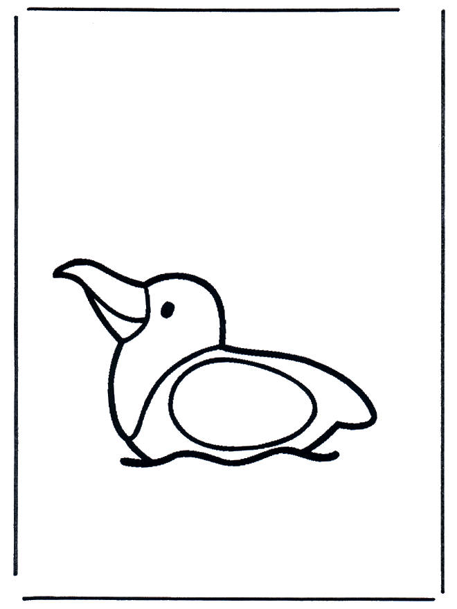 Gabbiano sullacqua - Uccelli