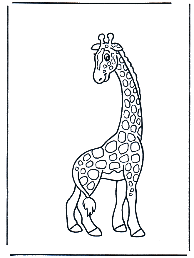 Giraffa per bambini - Animali