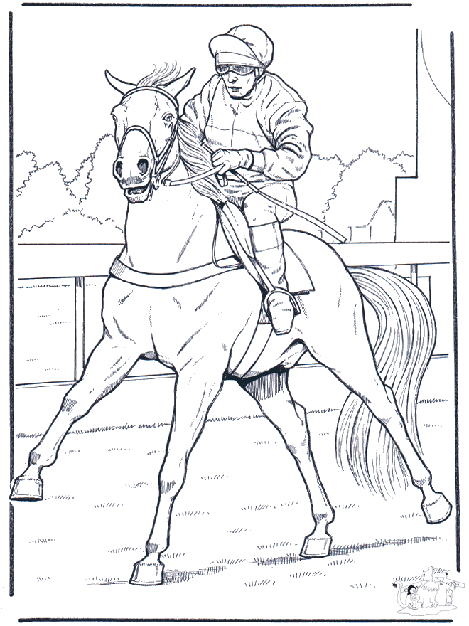 Jockey a cavallo - Cavalli