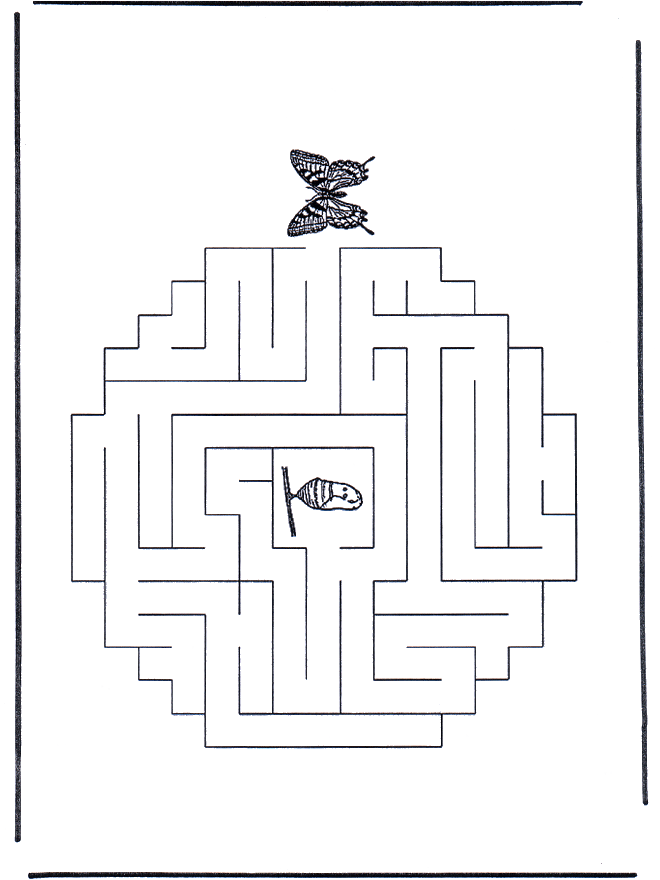 Labirinto ' farfalla e bozzolo - Labirinti