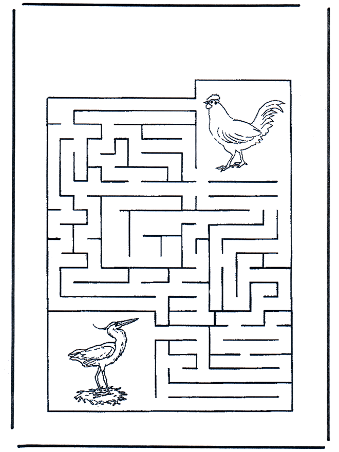 Labirinto degli uccelli - Labirinti