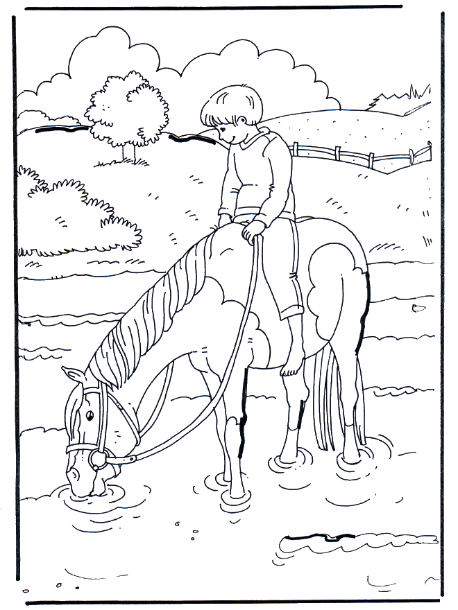 Nellacqua - Cavalli