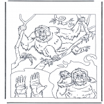 Disegni da colorare Animali - Orangutan