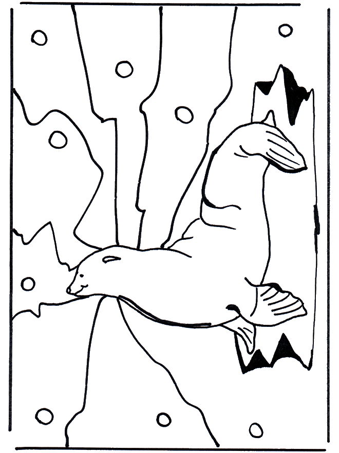 Otaria - Animali acquatici