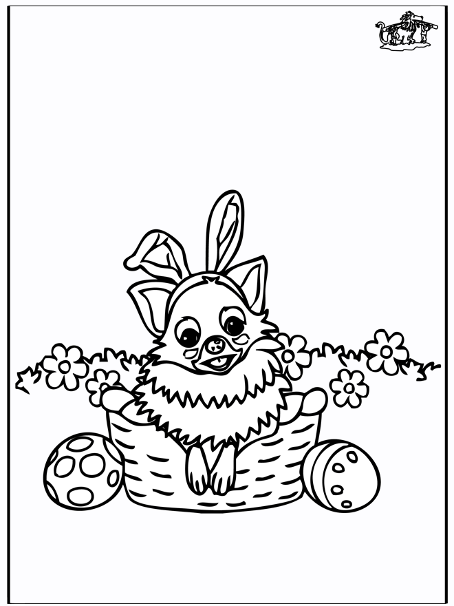 Pasqua - cane - Pasqua