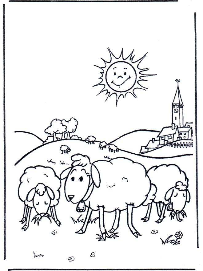 Pecore al sole - Animali domestici e di fattoria