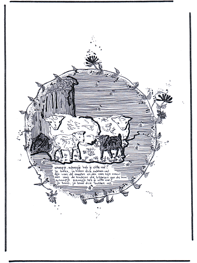 Pecore - Animali domestici e di fattoria