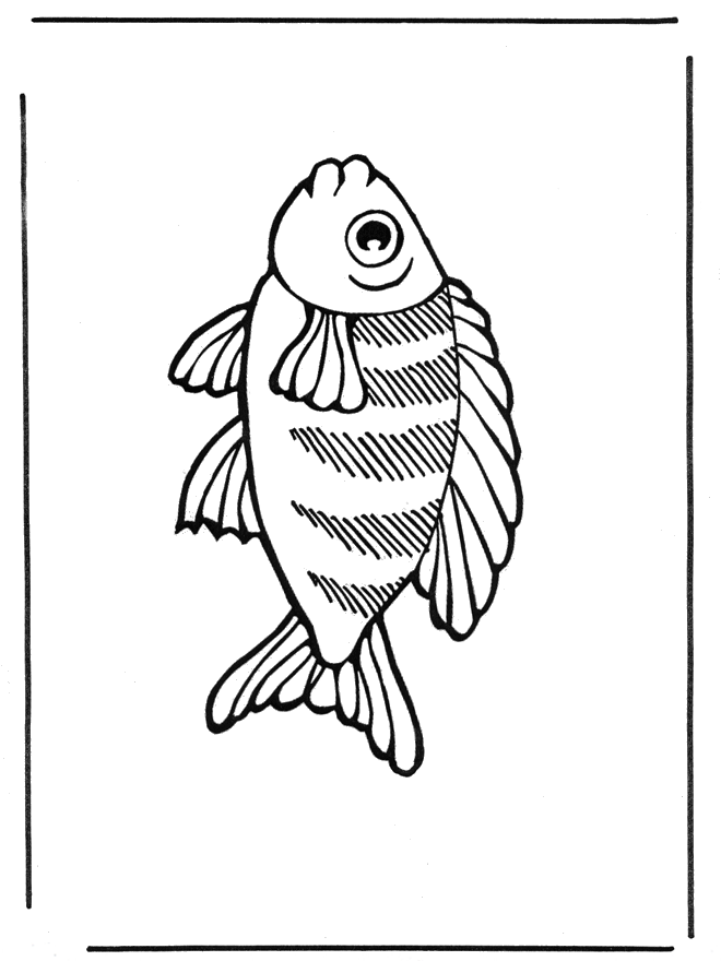 Pesce 2 - Animali acquatici