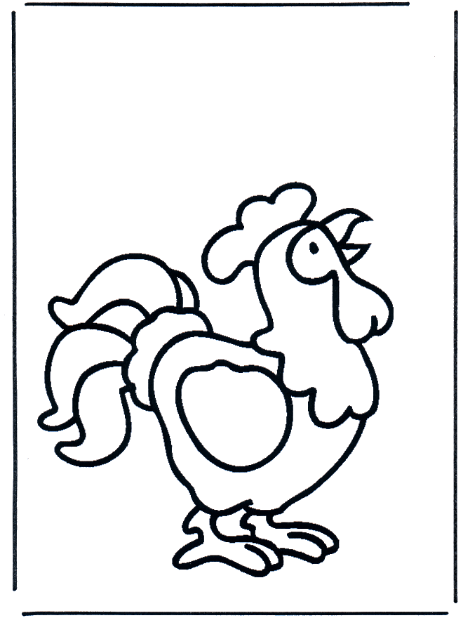 Petit coq - Animali