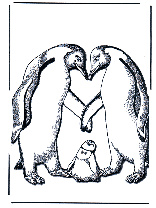 Pinguino con piccolo - Zoo