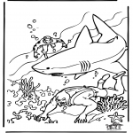 Disegni da colorare Vari temi - Sommozzatore con squalo