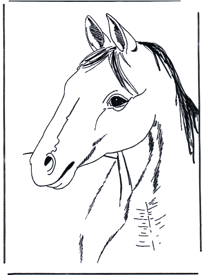 Testa di cavallo 3 - Cavalli