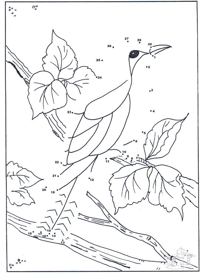 Unisci i puntini - uccelli - Disegna seguendo i numeri