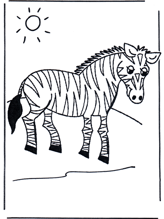 Zebra per bambini - Animali